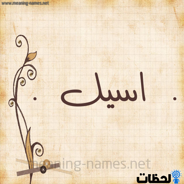 معنى اسم اسيل Aseel