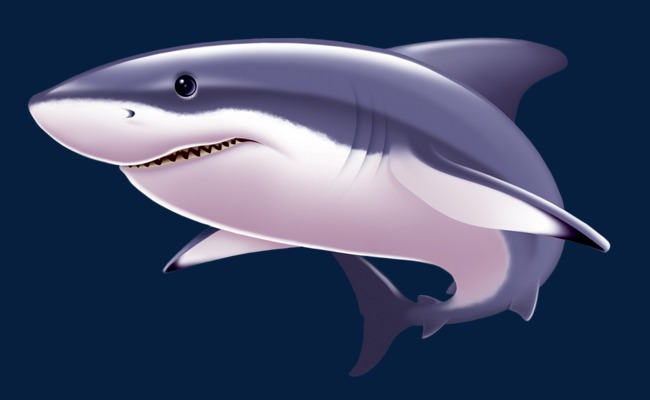 تفسير حلم رؤية سمكة القرش في المنام