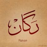 معنى اسم راكان Rakan
