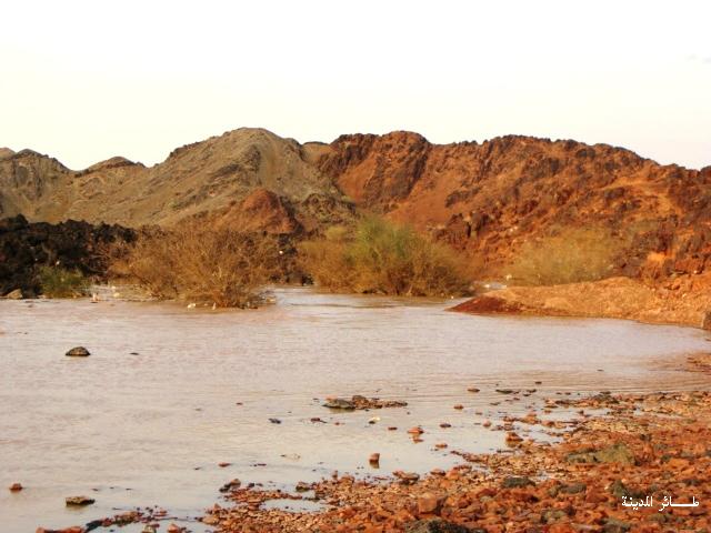 اين يقع وادى العتيق