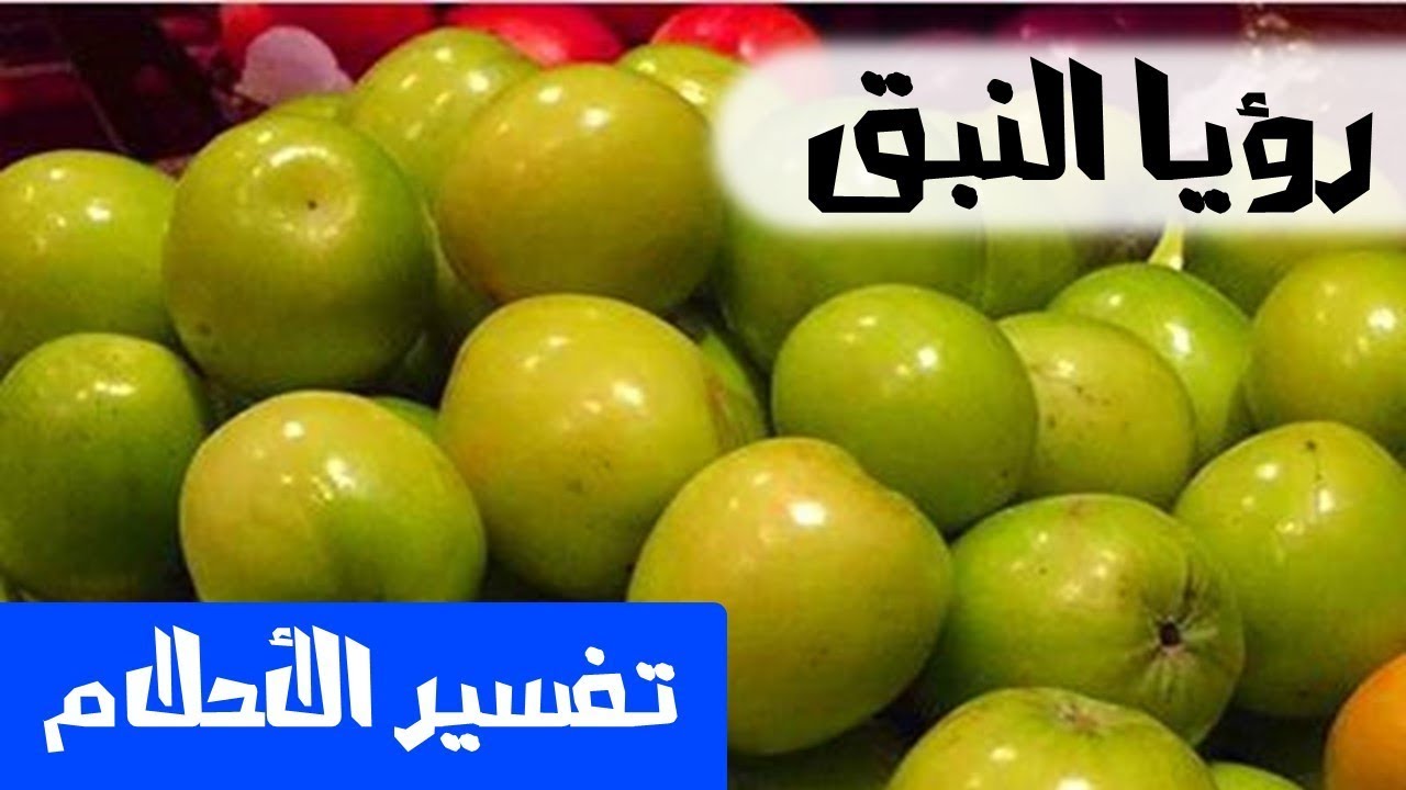 تفسير حلم رؤية النبق في المنام