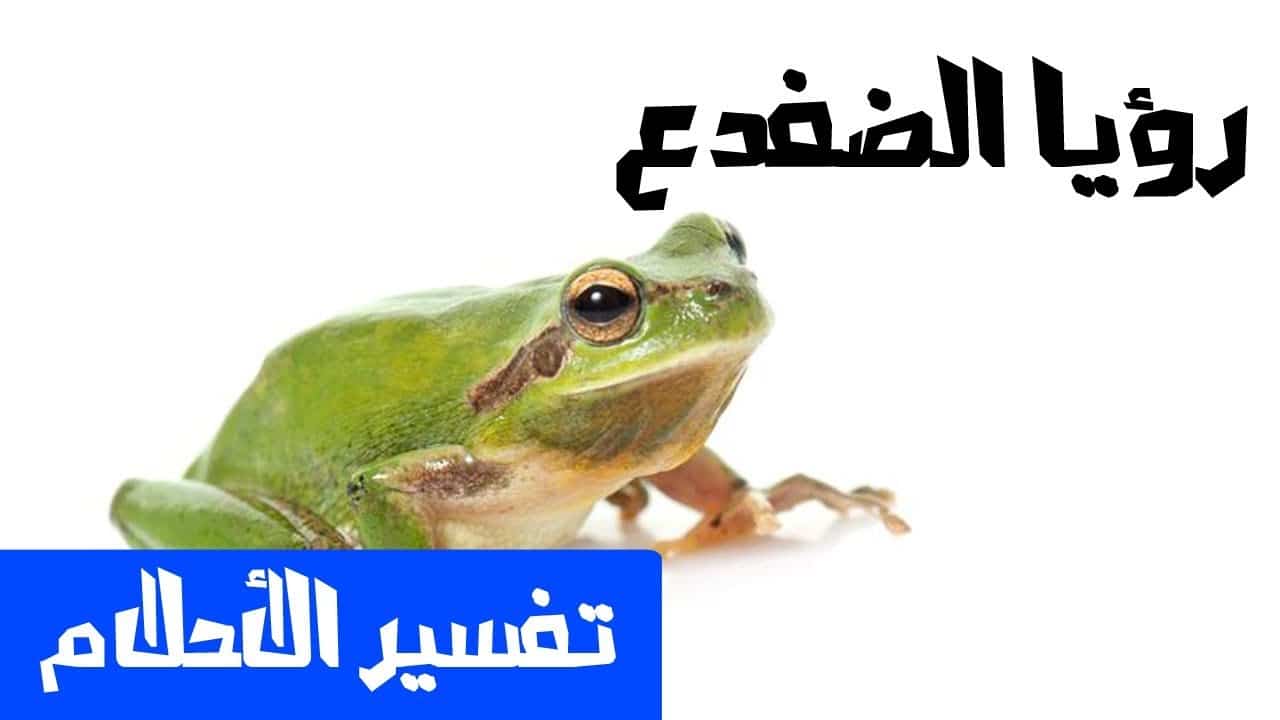 تفسير معني حلم الضفدع في الحلم لابن سيرين وابن شاهين